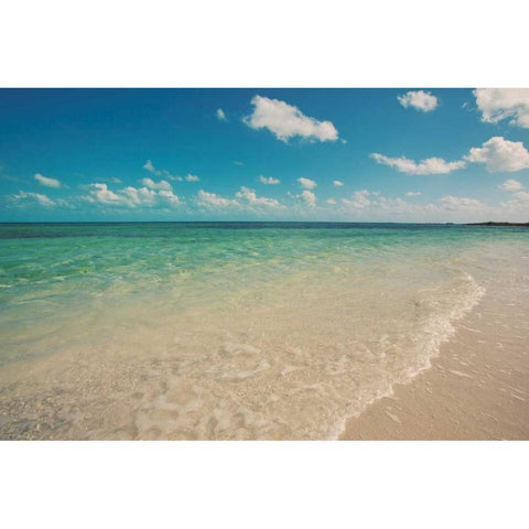Bimini Day Black Modern Wood Framed Art Print by Bryant, Susan