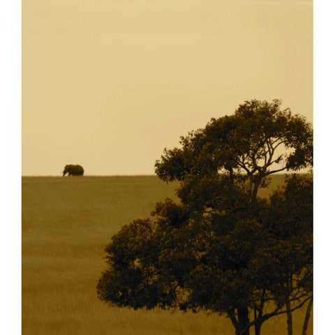 Elephant Pack III Gold Ornate Wood Framed Art Print with Double Matting by Bryant, Susan