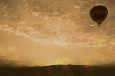 Sunset Mara Balloon Black Ornate Wood Framed Art Print with Double Matting by Bryant, Susan