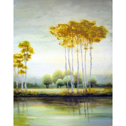 September Calm II Black Modern Wood Framed Art Print with Double Matting by Marcon, Michael