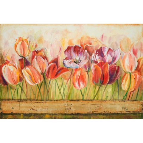 Spring Beauty Black Modern Wood Framed Art Print with Double Matting by Pinto, Patricia
