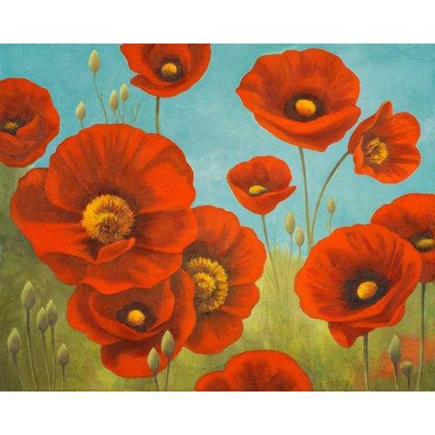 Field of Poppies I Black Modern Wood Framed Art Print with Double Matting by Rhyan, Vivien