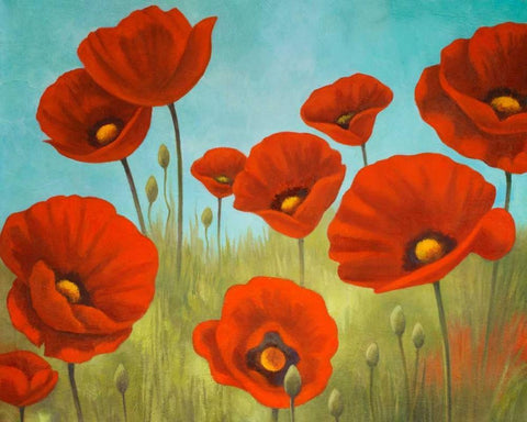 Field of Poppies II White Modern Wood Framed Art Print with Double Matting by Rhyan, Vivien