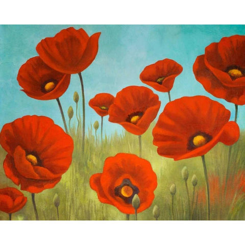 Field of Poppies II White Modern Wood Framed Art Print by Rhyan, Vivien