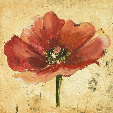 Poppy IV White Modern Wood Framed Art Print by Pinto, Patricia