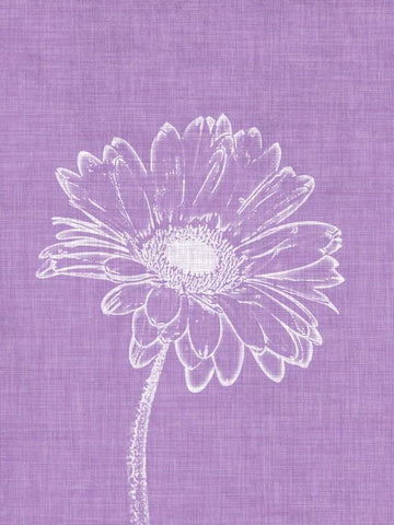 Purple Daisies I Black Ornate Wood Framed Art Print with Double Matting by Peck, Gail