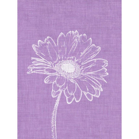 Purple Daisies I White Modern Wood Framed Art Print by Peck, Gail