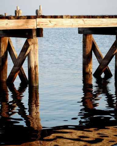 Waterside Beauty I White Modern Wood Framed Art Print with Double Matting by Peck, Gail