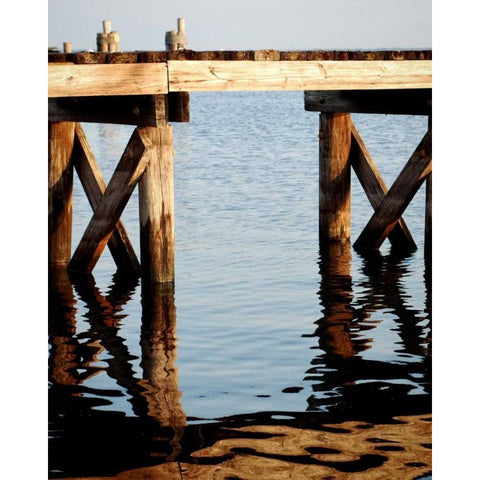Waterside Beauty I White Modern Wood Framed Art Print by Peck, Gail
