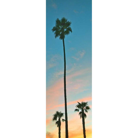 Sunset Palms Black Modern Wood Framed Art Print with Double Matting by Peck, Gail