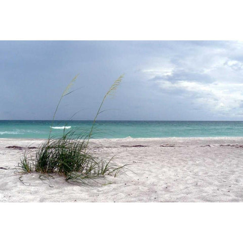 Shoreline Black Modern Wood Framed Art Print with Double Matting by Peck, Gail