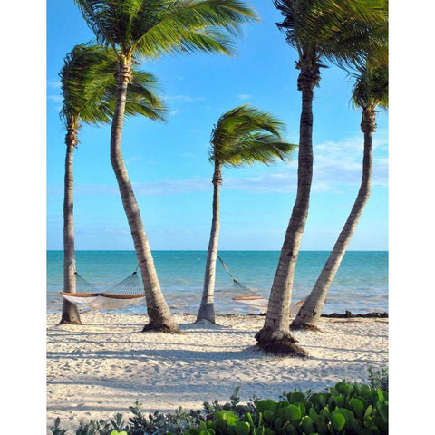 Shoreside Retreat Black Modern Wood Framed Art Print with Double Matting by Peck, Gail