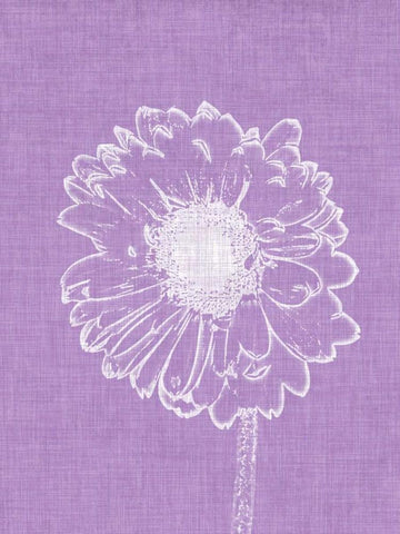 Purple Daisies II Black Ornate Wood Framed Art Print with Double Matting by Peck, Gail