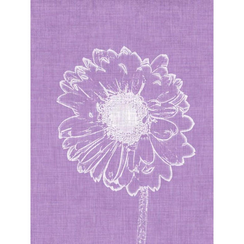 Purple Daisies II Gold Ornate Wood Framed Art Print with Double Matting by Peck, Gail