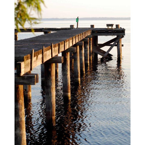 Waterside Beauty II White Modern Wood Framed Art Print by Peck, Gail