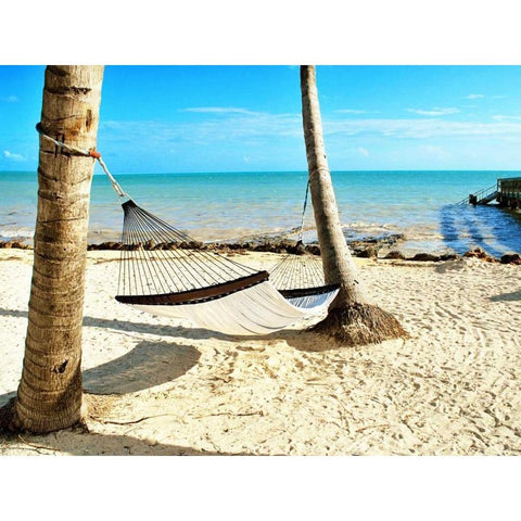 Under the Palms (24x18) Black Modern Wood Framed Art Print by Peck, Gail