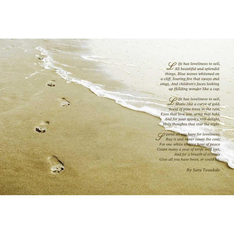 Lifes Loveliness Black Modern Wood Framed Art Print by Peck, Gail