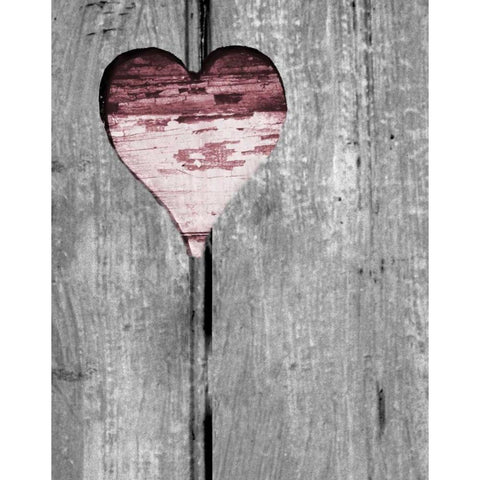 Up and Down Pink Woodcut Heart II Gold Ornate Wood Framed Art Print with Double Matting by Peck, Gail