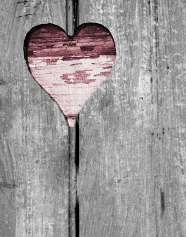 Up and Down Pink Woodcut Heart II Black Ornate Wood Framed Art Print with Double Matting by Peck, Gail