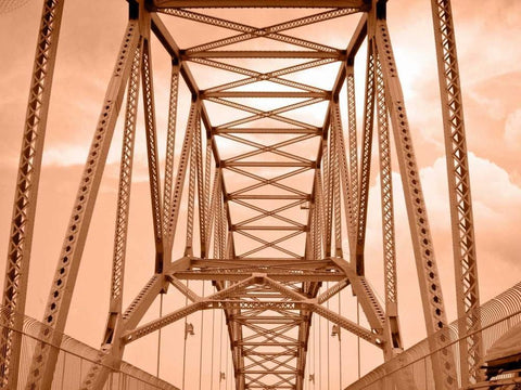 Sepia Bridge White Modern Wood Framed Art Print with Double Matting by Rodriguez, Jairo