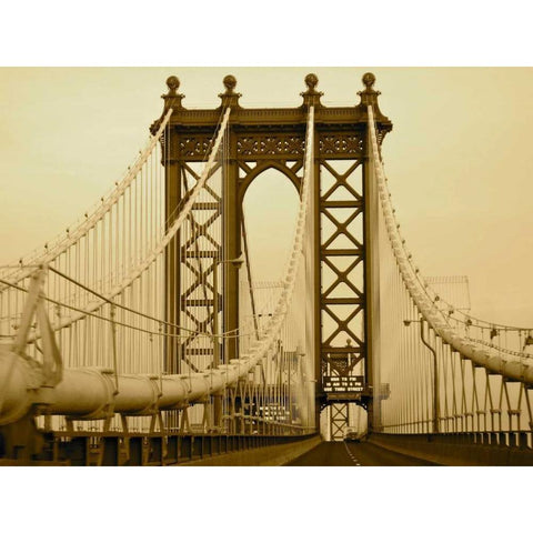 New York Bridge I Black Modern Wood Framed Art Print with Double Matting by Rodriguez, Jairo