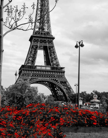 Eiffel Tower with Red Pop Black Ornate Wood Framed Art Print with Double Matting by Navas, Emily