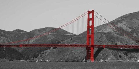 Golden Gate Bridge with Red Pop White Modern Wood Framed Art Print with Double Matting by Navas, Emily