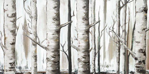 White Birch Forest Black Ornate Wood Framed Art Print with Double Matting by Pinto, Patricia