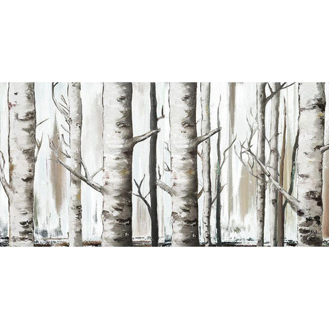 White Birch Forest Black Modern Wood Framed Art Print by Pinto, Patricia