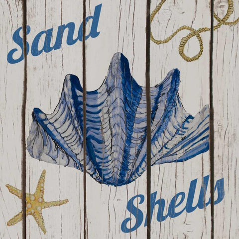 Nautical Shells I White Modern Wood Framed Art Print with Double Matting by Ritter, Gina
