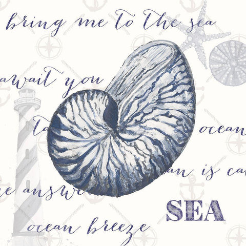 Indigo Ocean Treasures II White Modern Wood Framed Art Print by Ritter, Gina