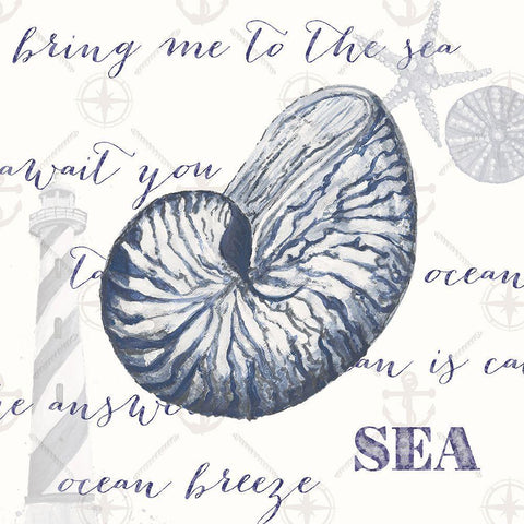Indigo Ocean Treasures II White Modern Wood Framed Art Print with Double Matting by Ritter, Gina
