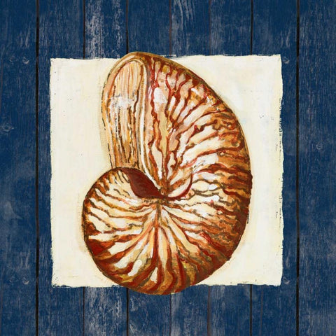 Nautical Shell Black Ornate Wood Framed Art Print with Double Matting by Ritter, Gina
