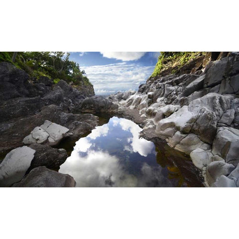 Reflecting Ravine Gold Ornate Wood Framed Art Print with Double Matting by Nawrocke, Bruce