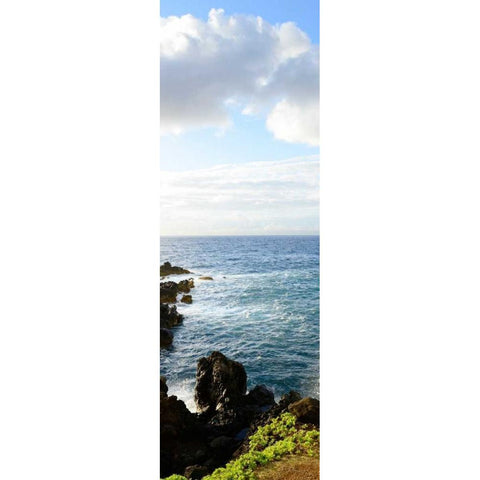 Overlooking the Bluffs I Black Modern Wood Framed Art Print by Nawrocke, Bruce