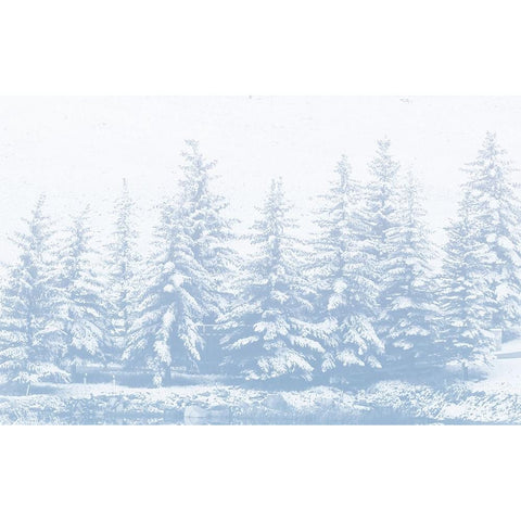 Winter Forest Gold Ornate Wood Framed Art Print with Double Matting by Mansfield, Kathy