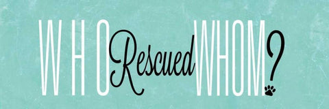 Who Rescued Whom White Modern Wood Framed Art Print with Double Matting by SD Graphics Studio