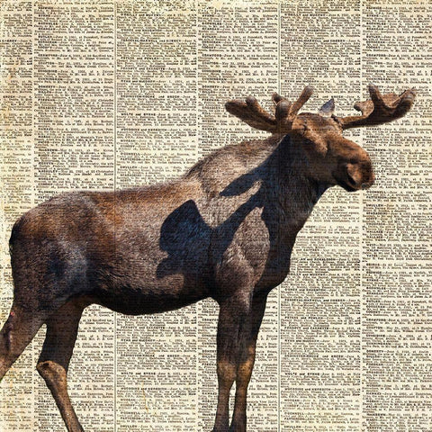 Country Moose II Gold Ornate Wood Framed Art Print with Double Matting by Coppel, Anna
