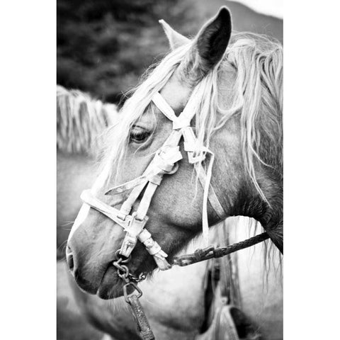 Before the Ride I Black Modern Wood Framed Art Print with Double Matting by Coppel, Anna