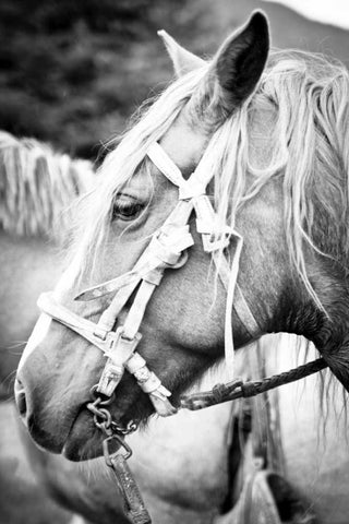 Before the Ride I White Modern Wood Framed Art Print with Double Matting by Coppel, Anna