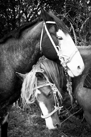 Before the Ride II Black Ornate Wood Framed Art Print with Double Matting by Coppel, Anna