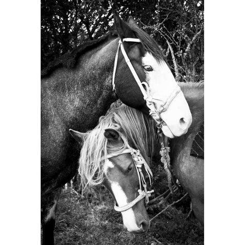 Before the Ride II White Modern Wood Framed Art Print by Coppel, Anna