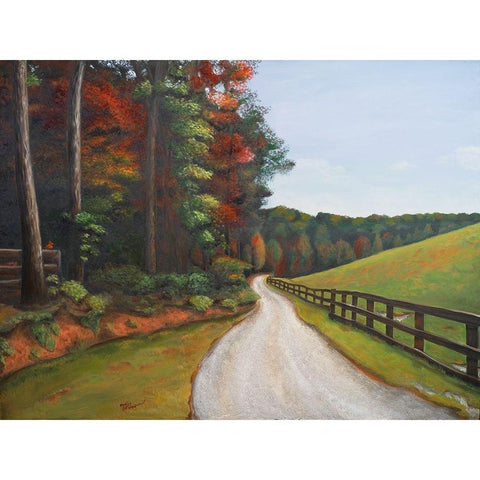Country Road I Gold Ornate Wood Framed Art Print with Double Matting by Hakimipour, Tiffany