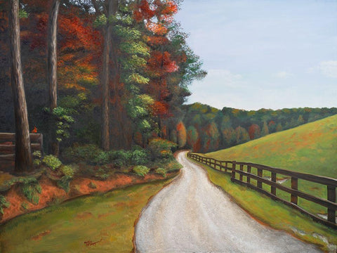 Country Road I Black Ornate Wood Framed Art Print with Double Matting by Hakimipour, Tiffany
