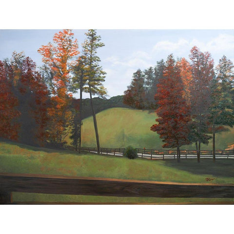 Country Road II Gold Ornate Wood Framed Art Print with Double Matting by Hakimipour, Tiffany
