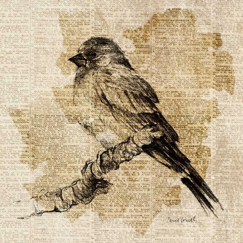 Bird Study I Black Ornate Wood Framed Art Print with Double Matting by Loreth, Lanie