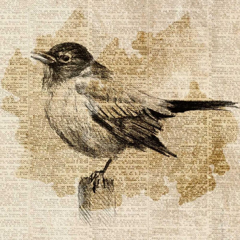 Bird Study II Gold Ornate Wood Framed Art Print with Double Matting by Loreth, Lanie