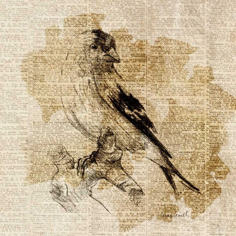 Bird Study III Black Ornate Wood Framed Art Print with Double Matting by Loreth, Lanie