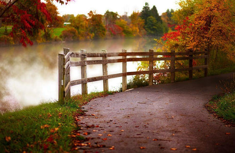 Misty Lake Path White Modern Wood Framed Art Print with Double Matting by Poynter, Kelly