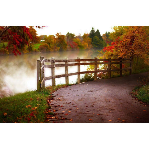 Misty Lake Path Black Modern Wood Framed Art Print with Double Matting by Poynter, Kelly